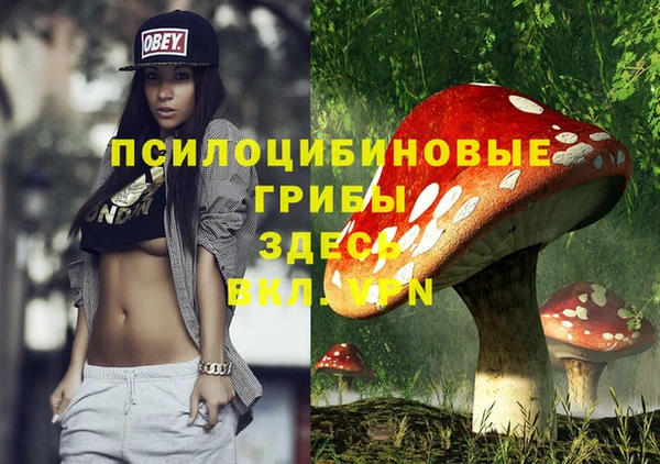 мет Гусь-Хрустальный